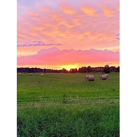 Harmonie I In Burg Burg Kauper