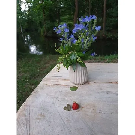 Holiday home Harmonie I In Burg *