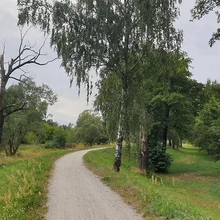 Harmonie I In Burg * Burg Kauper