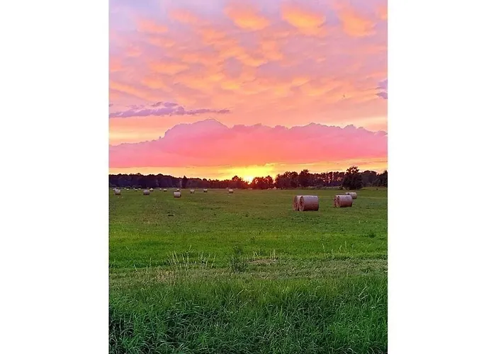 Harmonie I In Burg Burg Kauper