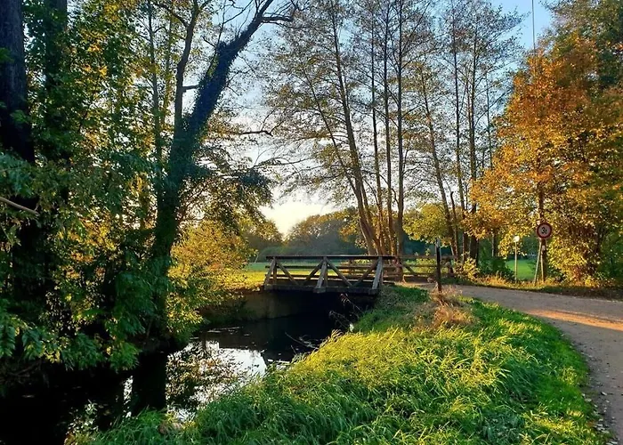 Harmonie I In Burg * Burg Kauper